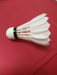 CBA Badminton Shuttlecocks/Birdies (CBA-P Black)